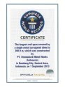 Guinness World Records