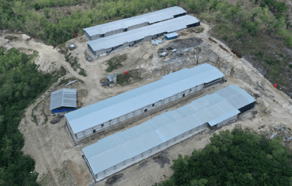 Peternakan Ayam Sawit